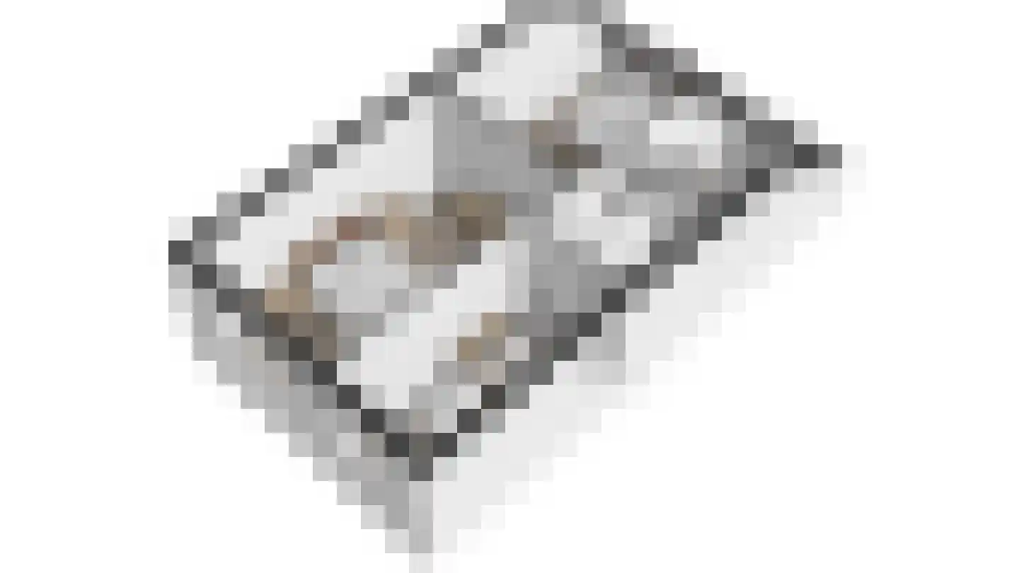 Grote ratelaar 187 Deventer thumbnail 36