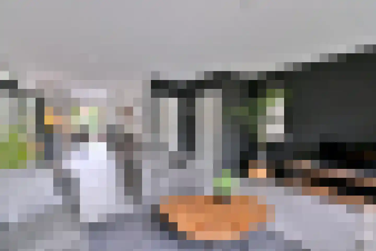 Grote ratelaar 187 Deventer thumbnail 5