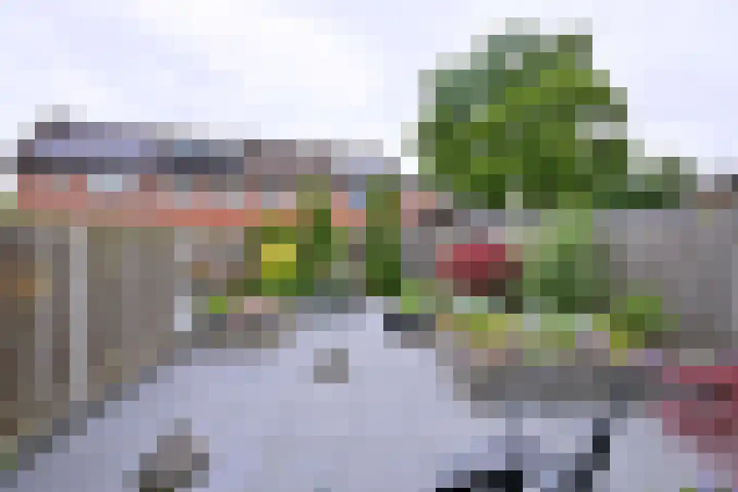 Grote ratelaar 187 Deventer thumbnail 9