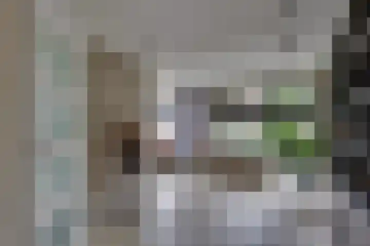 Grote ratelaar 22 Deventer thumbnail 10