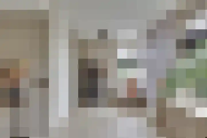 Grote ratelaar 22 Deventer thumbnail 11