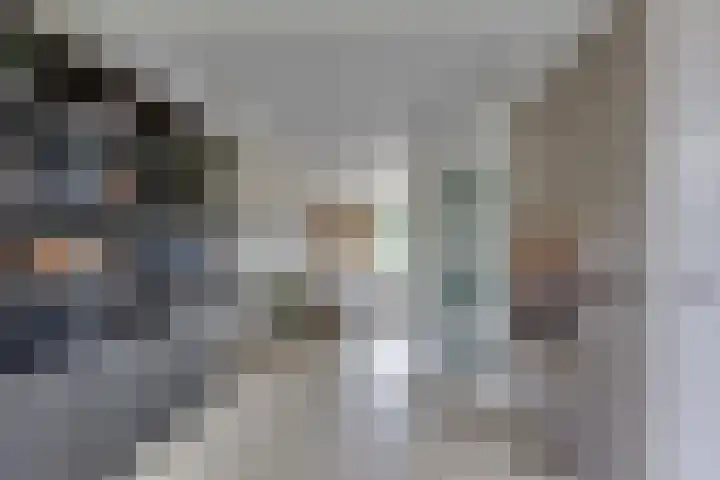Grote ratelaar 22 Deventer thumbnail 12