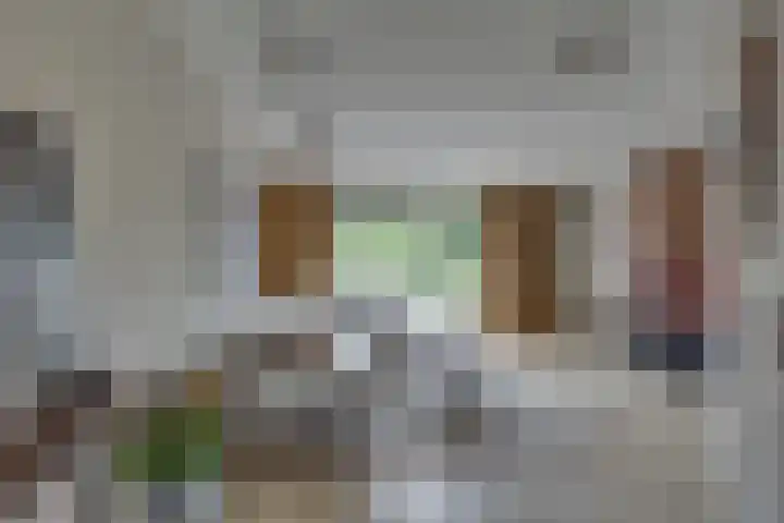 Grote ratelaar 22 Deventer thumbnail 13