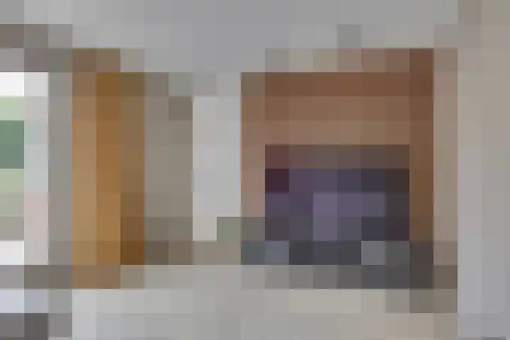 Grote ratelaar 22 Deventer thumbnail 16