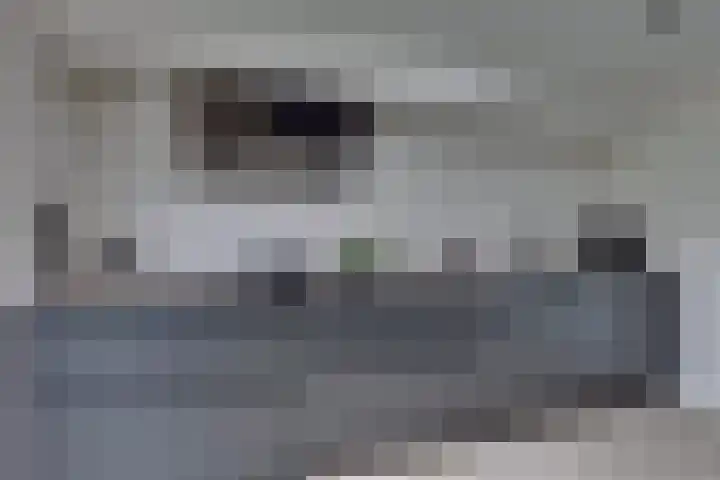 Grote ratelaar 22 Deventer thumbnail 18
