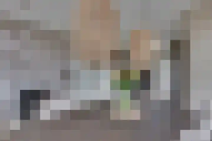 Grote ratelaar 22 Deventer thumbnail 21
