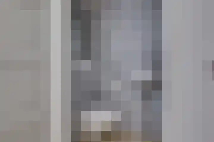 Grote ratelaar 22 Deventer thumbnail 22