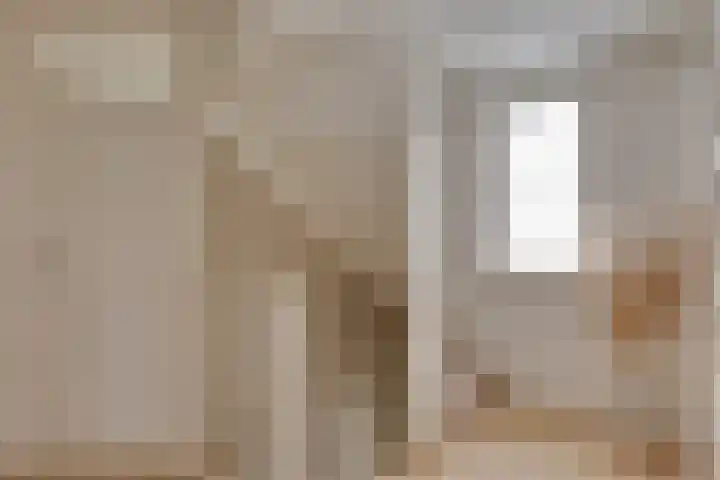 Grote ratelaar 22 Deventer thumbnail 23