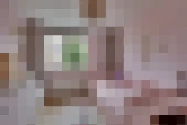 Grote ratelaar 22 Deventer thumbnail 24