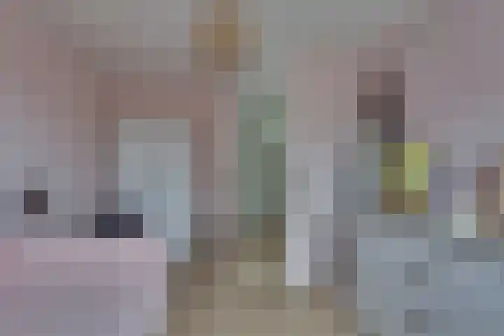 Grote ratelaar 22 Deventer thumbnail 25