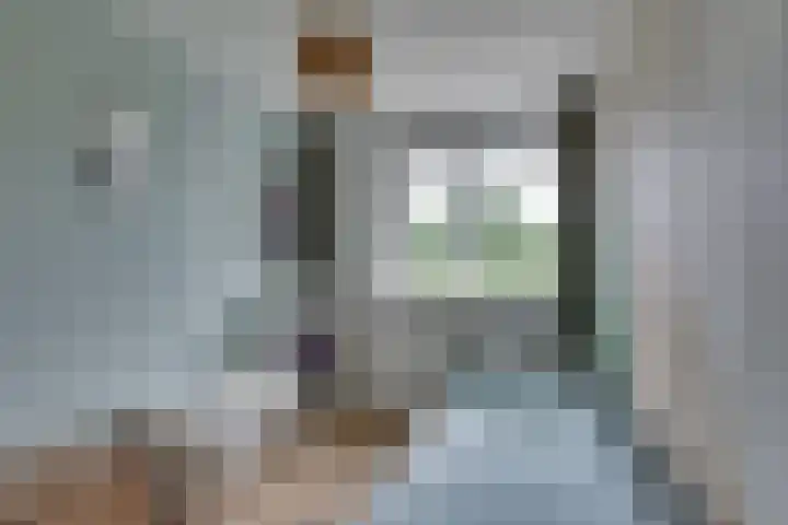 Grote ratelaar 22 Deventer thumbnail 26