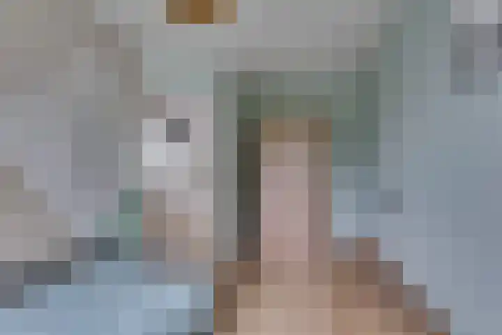 Grote ratelaar 22 Deventer thumbnail 27