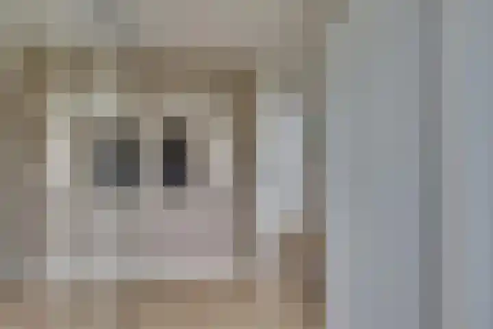 Grote ratelaar 22 Deventer thumbnail 29