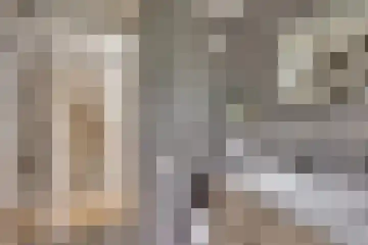 Grote ratelaar 22 Deventer thumbnail 31
