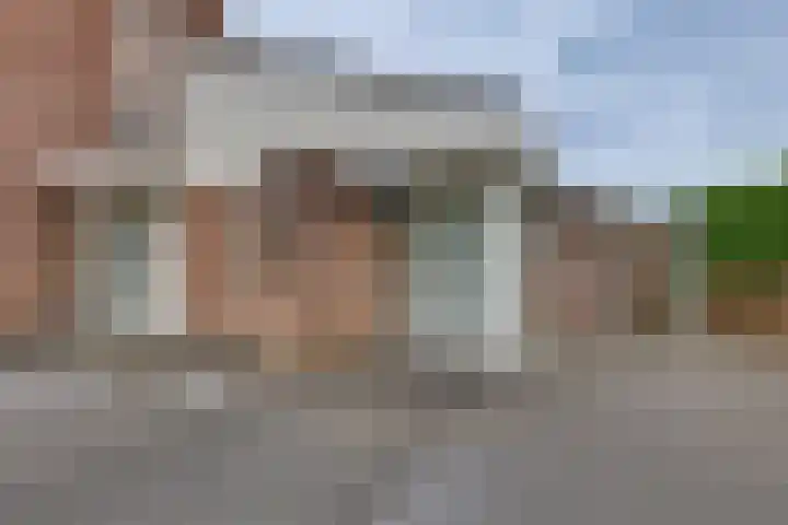 Grote ratelaar 22 Deventer thumbnail 35