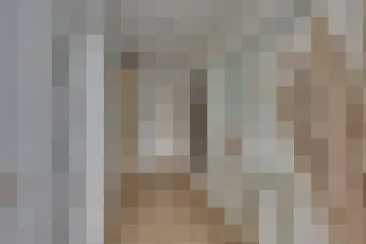 Grote ratelaar 22 Deventer thumbnail 37