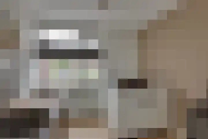 Grote ratelaar 22 Deventer thumbnail 38