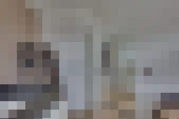 Grote ratelaar 22 Deventer thumbnail 39