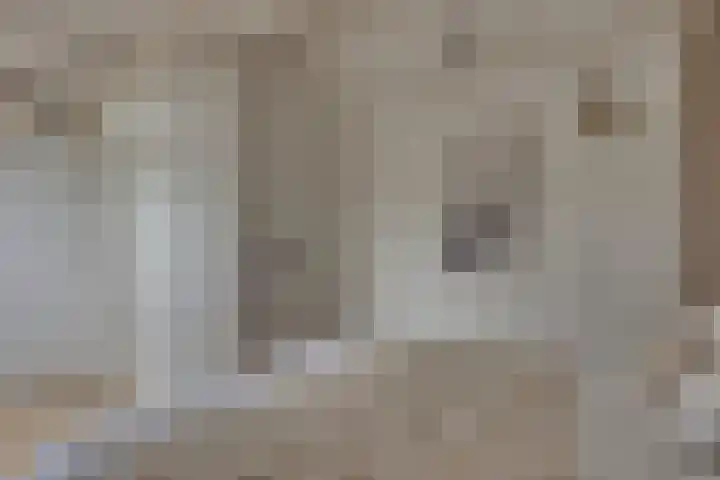 Grote ratelaar 22 Deventer thumbnail 4
