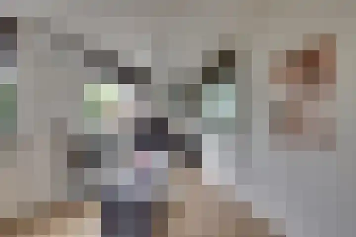 Grote ratelaar 22 Deventer thumbnail 40
