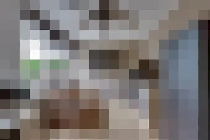 Grote ratelaar 22 Deventer thumbnail 42