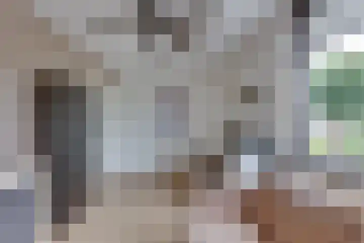 Grote ratelaar 22 Deventer thumbnail 43