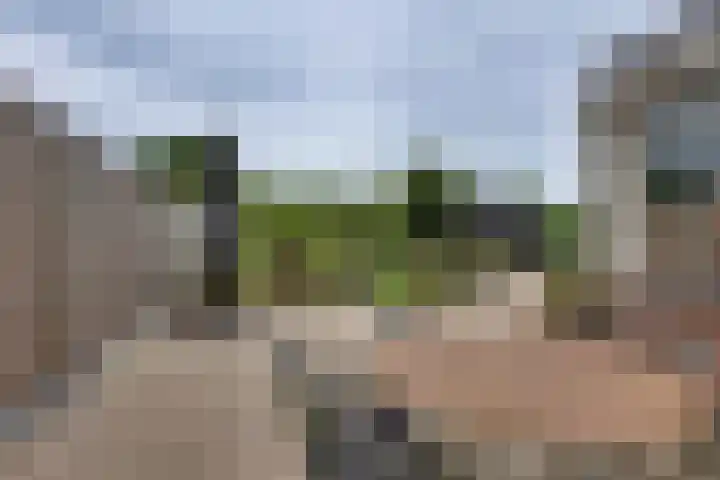 Grote ratelaar 22 Deventer thumbnail 44