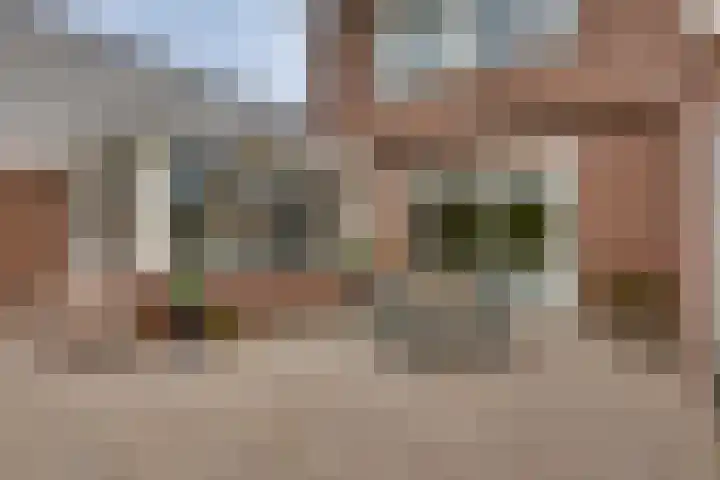 Grote ratelaar 22 Deventer thumbnail 45