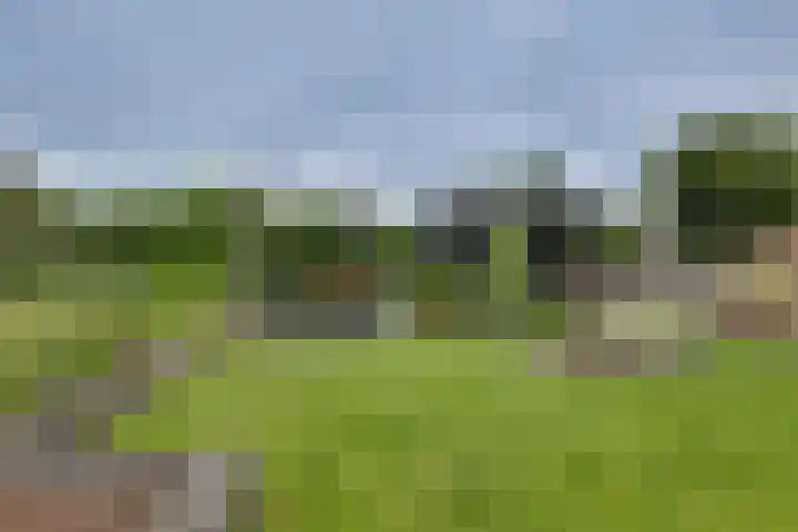 Grote ratelaar 22 Deventer thumbnail 47