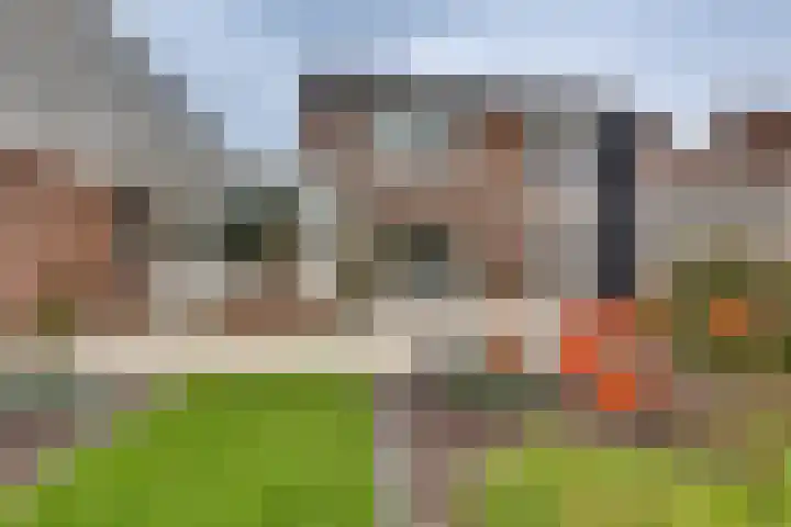 Grote ratelaar 22 Deventer thumbnail 49