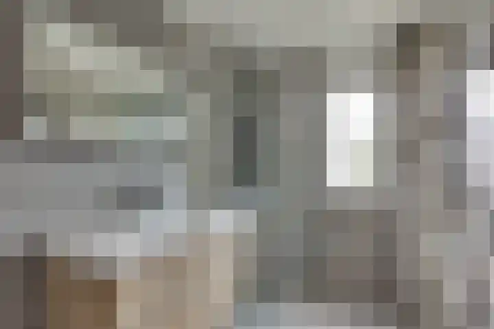 Grote ratelaar 22 Deventer thumbnail 5