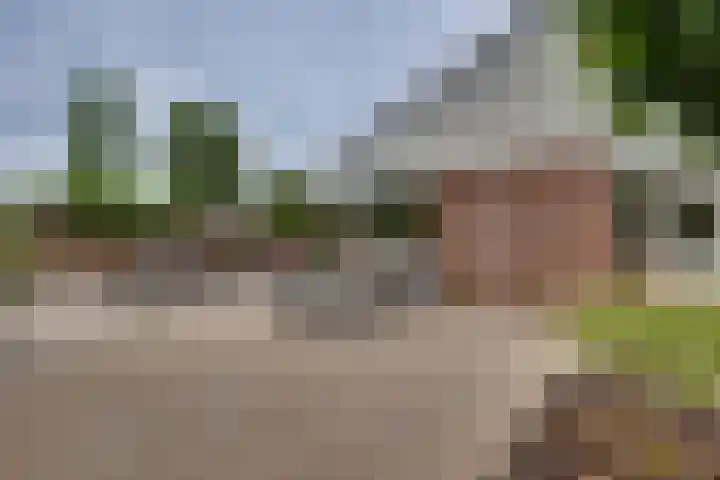 Grote ratelaar 22 Deventer thumbnail 50
