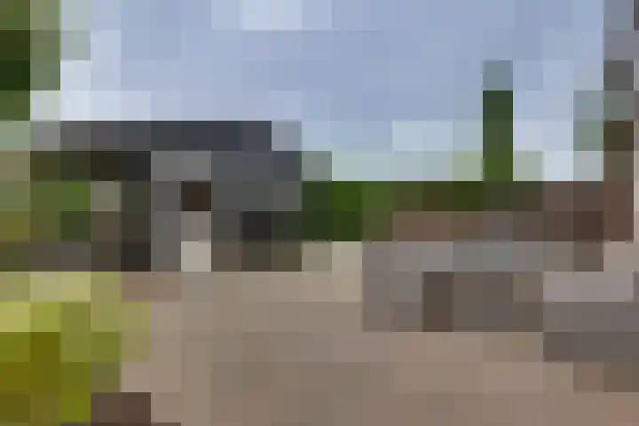 Grote ratelaar 22 Deventer thumbnail 51