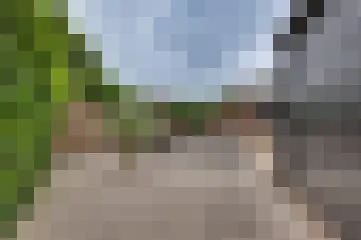 Grote ratelaar 22 Deventer thumbnail 52