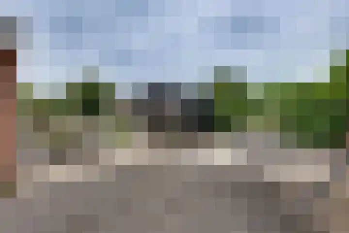 Grote ratelaar 22 Deventer thumbnail 53
