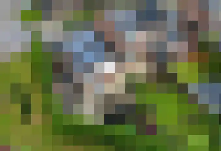 Grote ratelaar 22 Deventer thumbnail 54