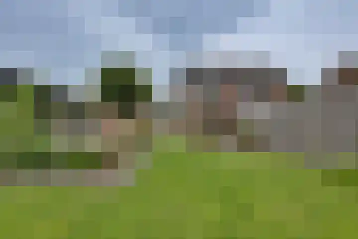 Grote ratelaar 22 Deventer thumbnail 6