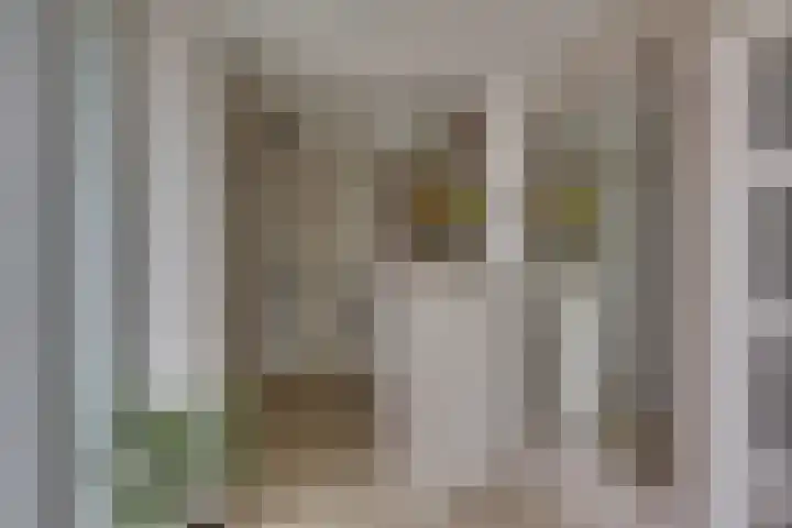 Grote ratelaar 22 Deventer thumbnail 9