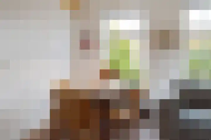 Grote Reed 2 Kimswerd thumbnail 10