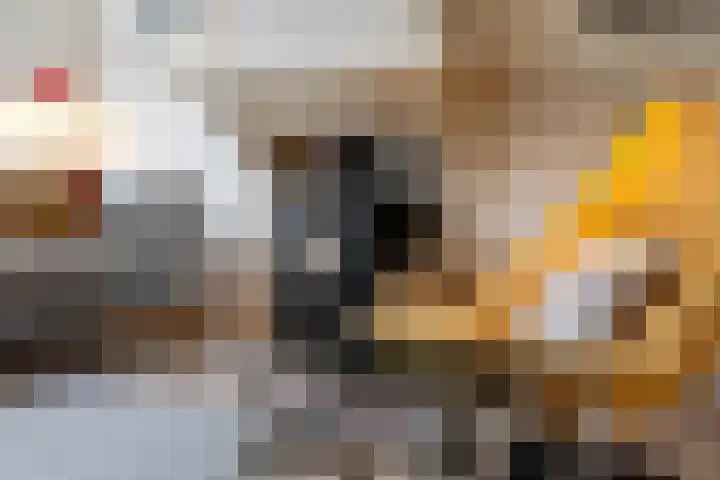 Grote Reed 2 Kimswerd thumbnail 13