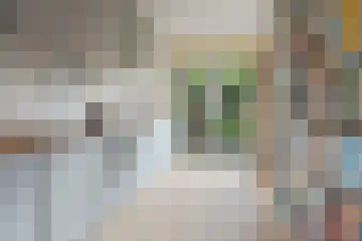 Grote Reed 2 Kimswerd thumbnail 14