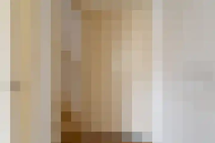 Grote Reed 2 Kimswerd thumbnail 17
