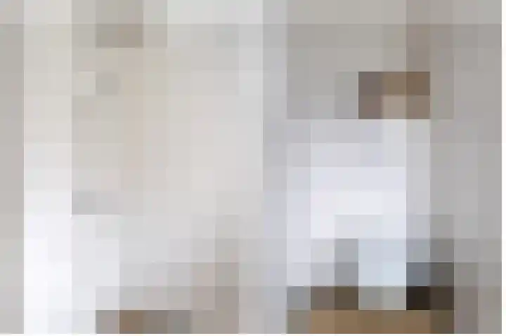 Grote Reed 2 Kimswerd thumbnail 19