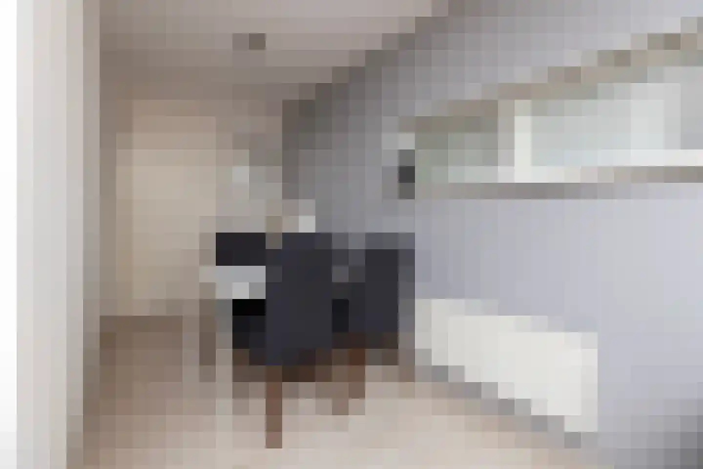 Grote Reed 2 Kimswerd thumbnail 20