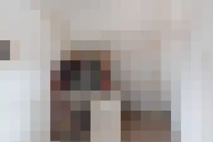 Grote Reed 2 Kimswerd thumbnail 20