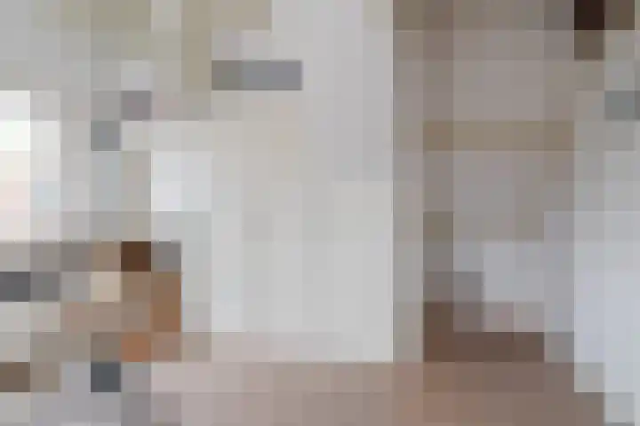 Grote Reed 2 Kimswerd thumbnail 23