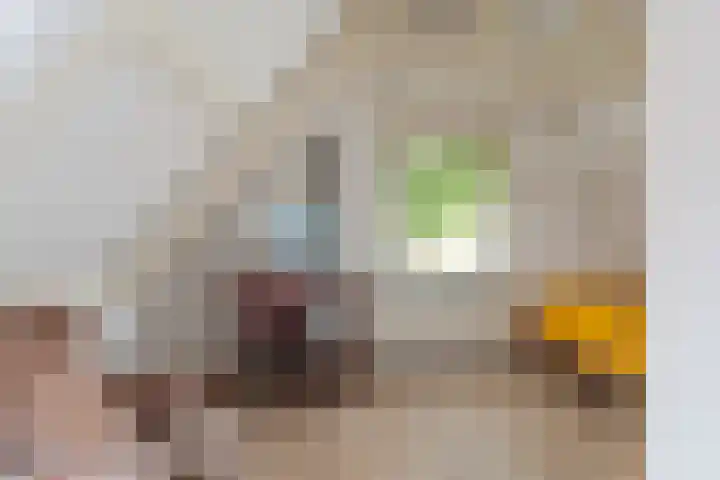 Grote Reed 2 Kimswerd thumbnail 24