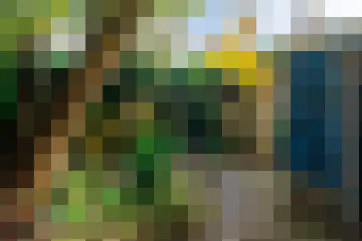 Grote Reed 2 Kimswerd thumbnail 27