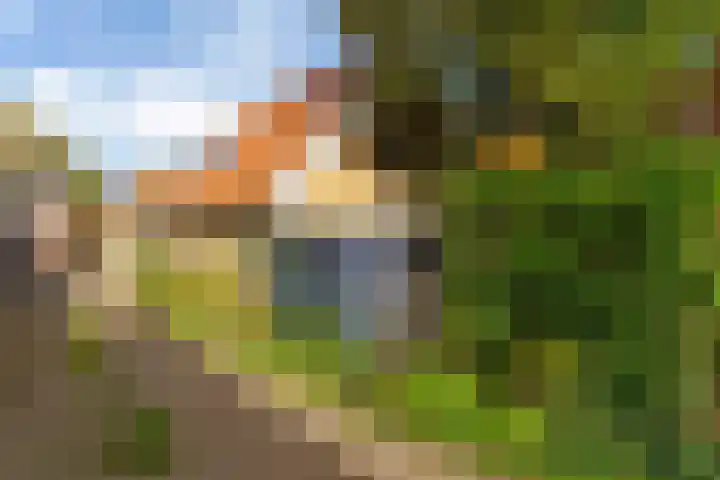 Grote Reed 2 Kimswerd thumbnail 31