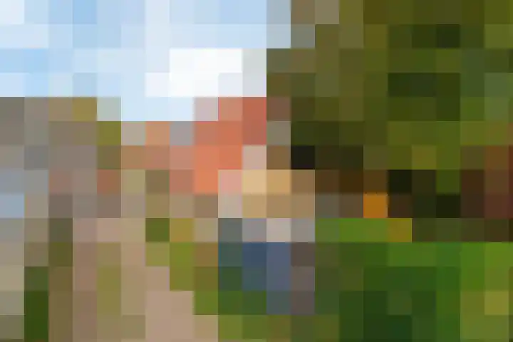 Grote Reed 2 Kimswerd thumbnail 32